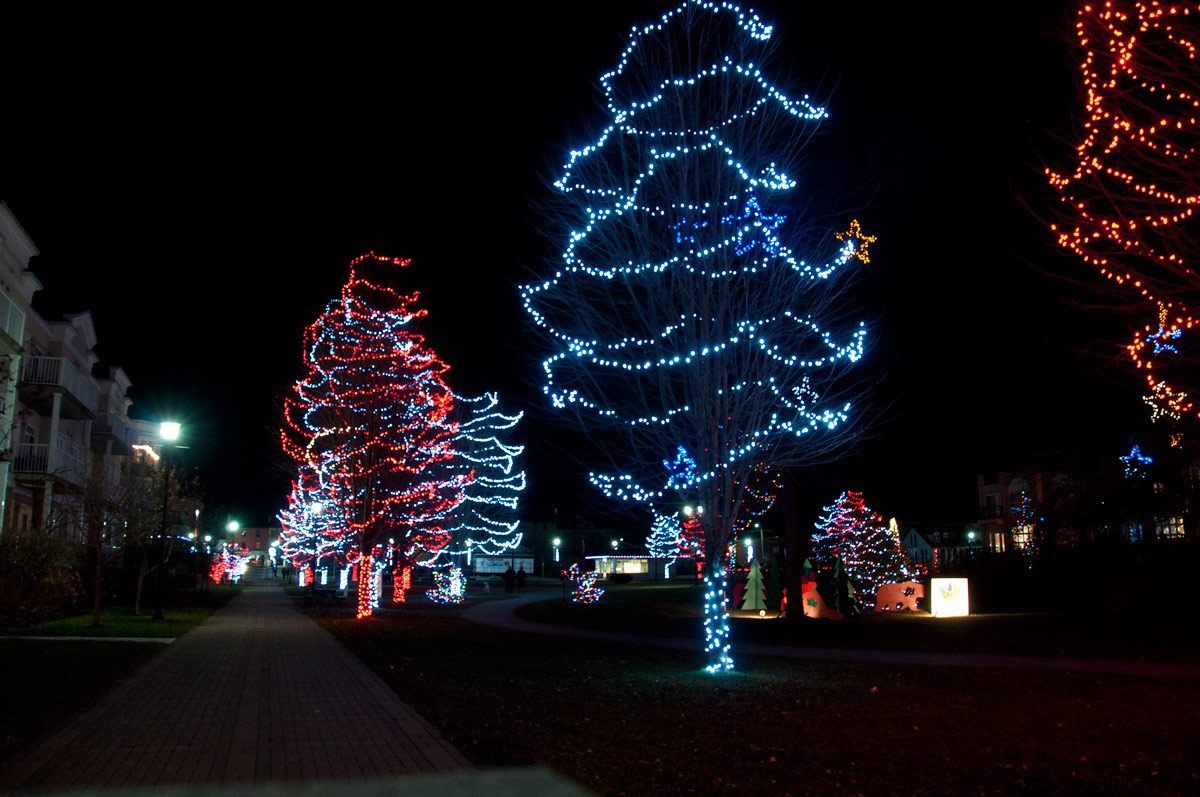 Christmas Lights in Rotary Park