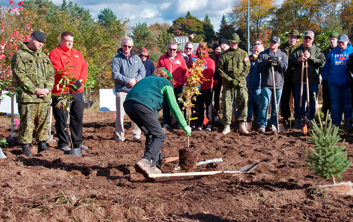 Tree Planting Oct 2018 - Demonstrating how to plant a tree