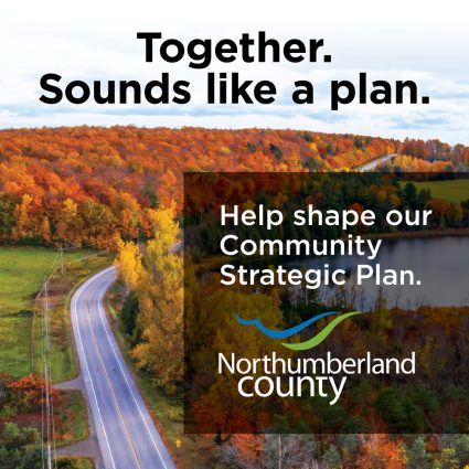 County Strategic Plan Survey